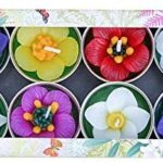 Hana Blossom Assortiment de 8 Bougies Chauffe-Plat parfumées Faites à la Main - Cuisine A Vivre Hana Blossom Assortiment de 8 Bougies Chauffe-Plat parfumées Faites à la Main